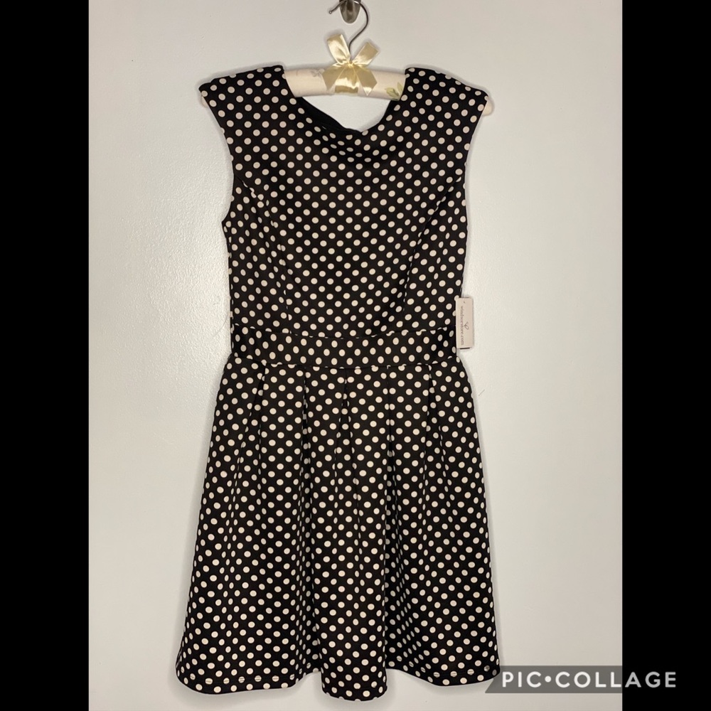 Polka Dot Windsor Dress. Size Small. NWT.
